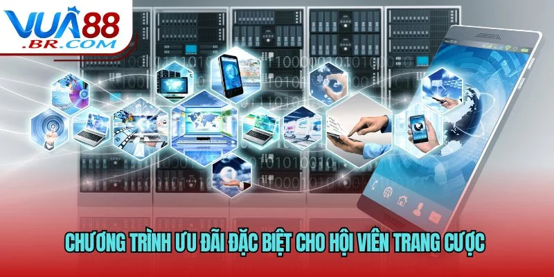 Chương trình ưu đãi đặc biệt cho hội viên trang cược