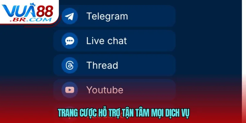 Trang cược hỗ trợ tận tâm mọi dịch vụ